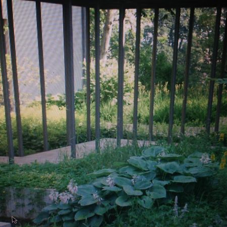Avliving City Flat Basel With Roof Garden Exterior foto